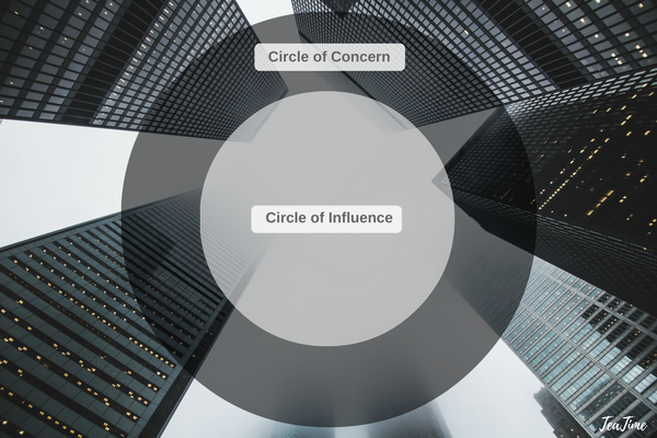 Circles of Concern and Influence